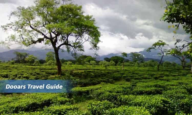 Tour and Travel Guide of Dooars | Incredible India