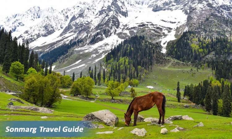Mystery and Attractive Facts About Sonmarg, Kashmir | Incredible India