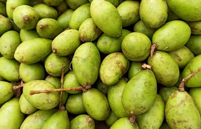 Hog Plum Fruit