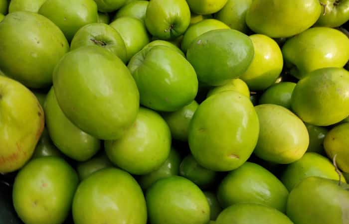 Jujube Fruit