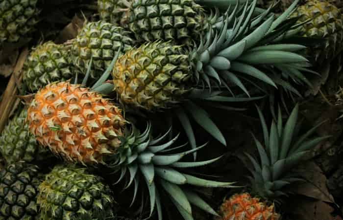 Pineapple Fruit