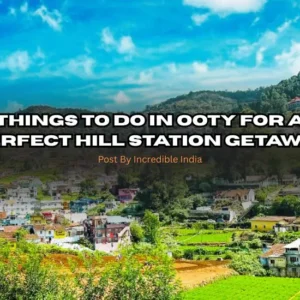 Top 11 Things to Do in Ooty for a Perfect Hill Station Getaway